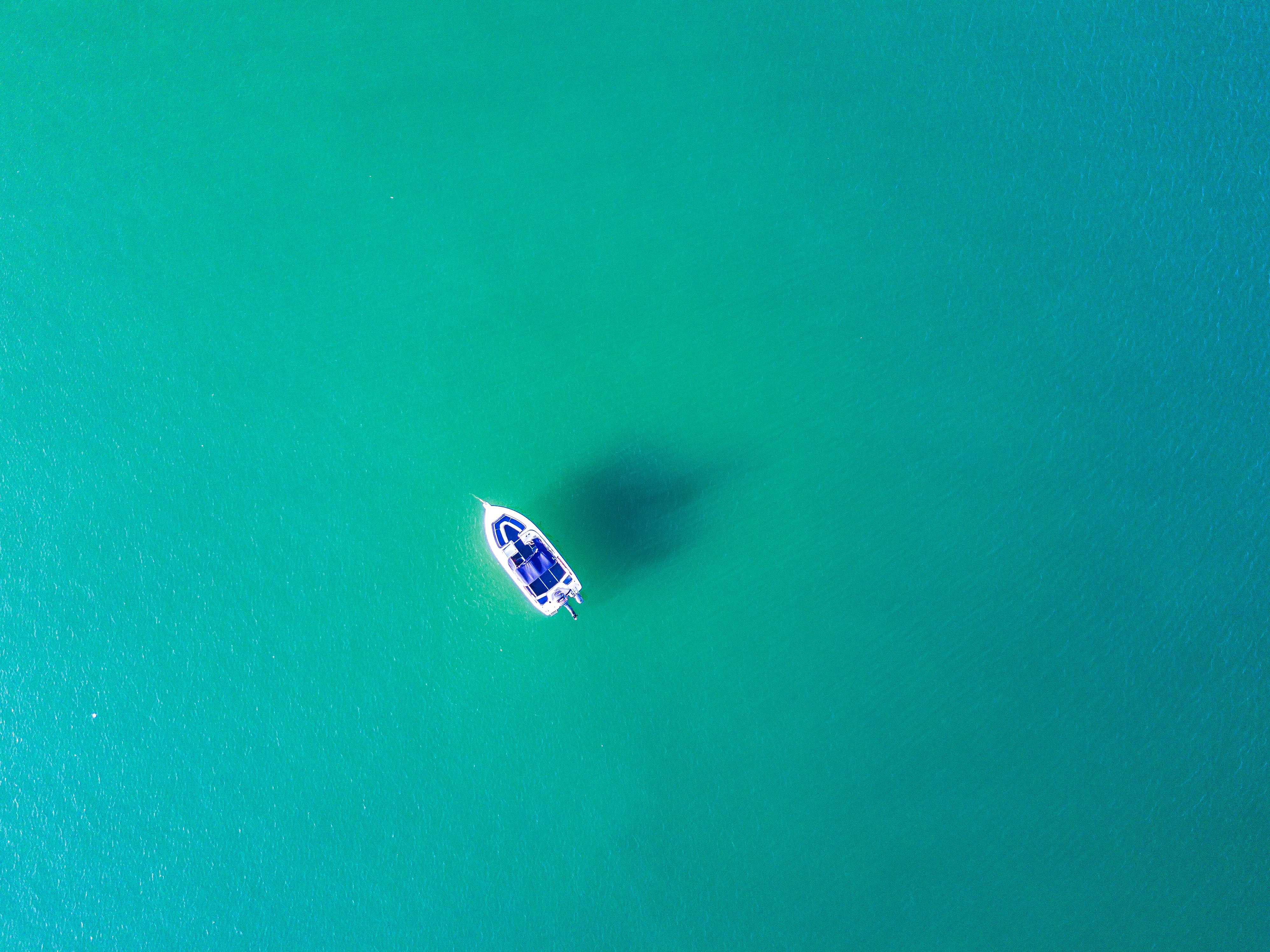 Bird's-eye view of th